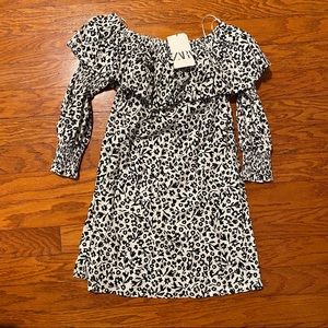 Zara Printed Poplin Dress